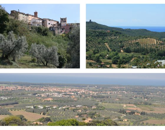 Castagneto-collage