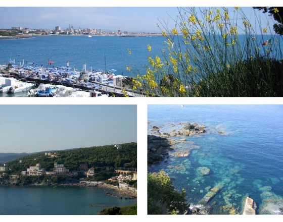 Castiglioncello-collage